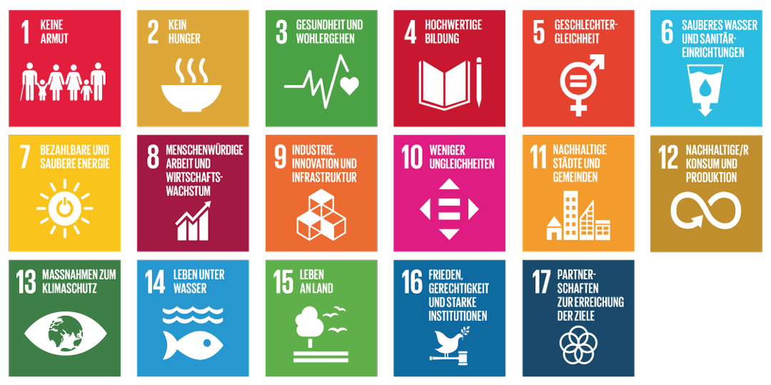 DWS Invest SDG Global Equities -  UN SDG Goals